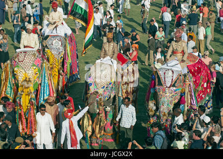 Decorated Indian Elephant (Elephas maximus indicus) amongst crowds of people during the annual elephant festival in Jaipur, Rajasthan, India. Stock Photo