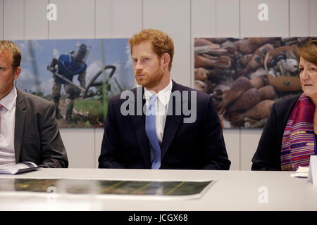 Prince Harry takes part in a round-table scenario exercise for 'Effective landmine clearance in a humanitarian emergency' during his visit to Chatham House, the Royal Institute of International Affairs, in London. Stock Photo