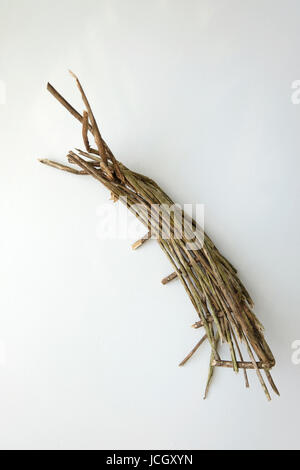 Piece of decaying woven willow on white background Stock Photo