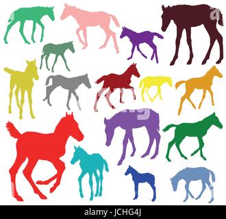 Set of vector standing, trotting, galloping foals colorful silhouettes isolated on white background Stock Vector