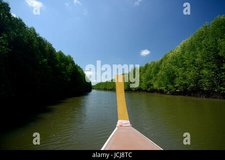 The mangroves at a lagoon near the City of Krabi on the Andaman Sea in the south of Thailand. Stock Photo