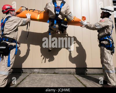 Crews practice high angle rescue at a public training facility at an industrial site in Oregon using ropes, litters and rappelling techniques. Stock Photo