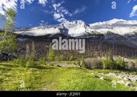 Colin Mountain Range and old Fire Burn from shores of Medicine Lake in Jasper National Park, Rocky Mountains, Alberta, Canada Stock Photo