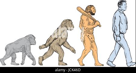 Drawing sketch style illustration showing human evolution from primate ape, homo habilis, homo erectus to modern day human homo sapien walking viewed  Stock Vector