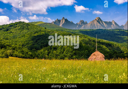 stacks of hay on hayfield near the forest. Beautiful countryside landscape in High Tatra Mountains Stock Photo
