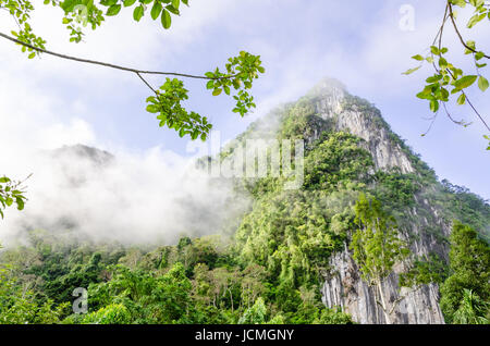 Lush high limestone mountain covered by mist surrounded by tropical forests of Thailand Stock Photo