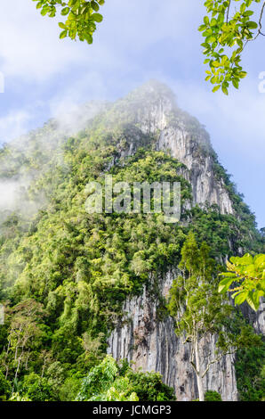 Lush high limestone mountain covered by mist surrounded by tropical forests of Thailand Stock Photo
