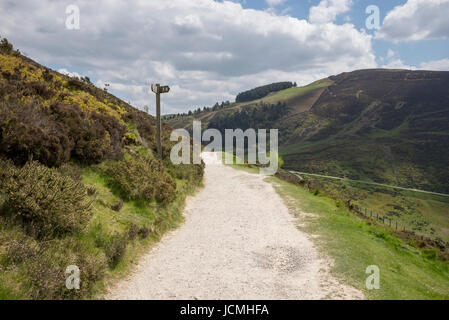 Footpath at Moel Famau country park near Mold in North Wales. Stock Photo