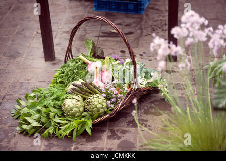 Basket of freshly picked vegetables including artichokes, garlic and asparagus in a glasshouse UK Stock Photo