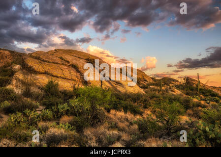 Sunset over Javelina Rocks in Saguaro National Park East near Tucson, Arizona Stock Photo