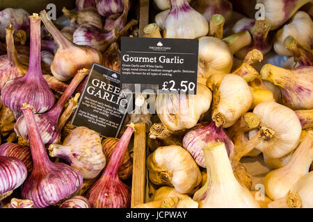 Garlic bulbs for sale at the Garlic Farm on the Isle of Wight, England Stock Photo