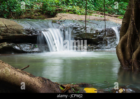 Waterfalls flowing from the forest in morning Stock Photo