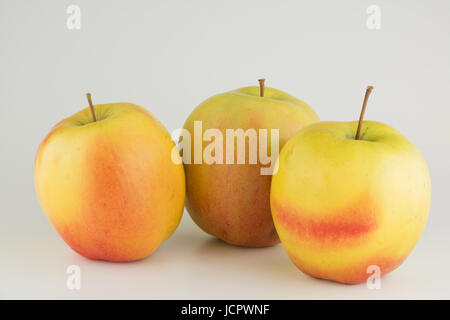 Three large ripe apples on a white background Stock Photo