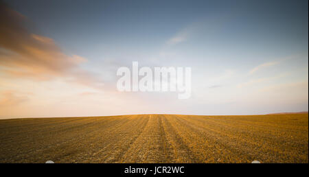Minimalist landscape with Meadow wheat field after harvesting during sunset with moving orange clouds Stock Photo