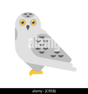 Vector flat style illustration of snowy white owl. Isolated on white background. Stock Vector