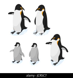 Isometric 3d vector realistic style set of penguins. Isolated on white background. Stock Vector