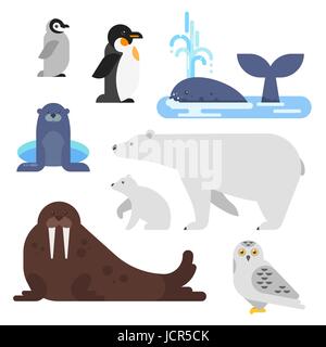 Vector flat style set of arctic animal. Walrus, whale, penguin, bear. Isolated on white background. Stock Vector