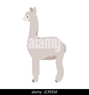 Vector flat style illustration of lama. Icon for web. Isolated on white background. Stock Vector