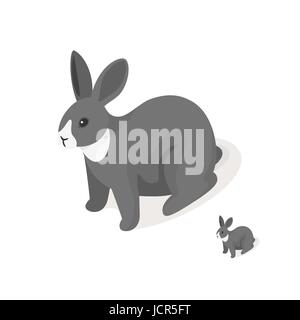Isometric 3d vector illustration of grey rabbit. Front view. Icon for web. Isolated on white background. Stock Vector
