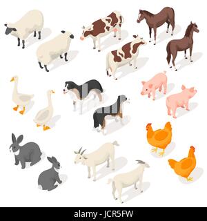 Isometric 3d vector set of farm animals. Back and Front view. Icon for web. Isolated on white background. Stock Vector