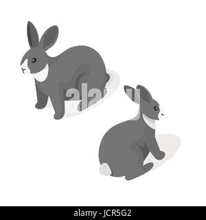 Isometric 3d vector illustration of grey rabbit. Back and front view. Icon for web. Isolated on white background. Stock Vector