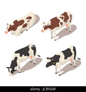 Isometric 3d vector set of cows. Icon for web. Isolated on white background. Stock Vector