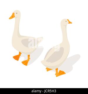 Isometric 3d vector illustration of farm goose isolated on white background. Icon for web. Back and front view. Stock Vector