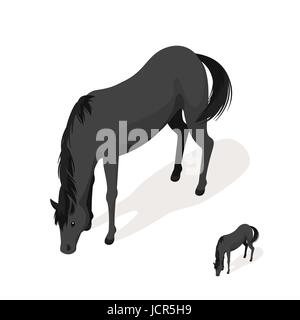 Isometric 3d vector illustration of large and small black horses. Icon for web. Isolated on white background. Stock Vector