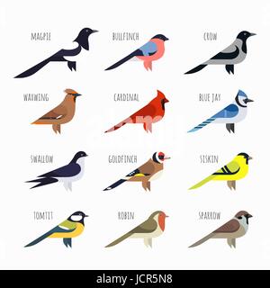 Birds Cardinal Blue Jay Stock Illustration - Download Image Now