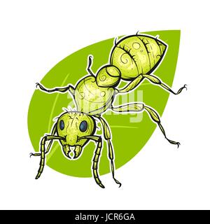 Vector colorful hand drawn illustration of ant. High details. Design for T-shirt or poster. Stock Vector