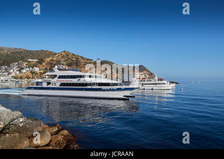 Catalina Express SeaCat, Catalina Jet, Departs Avalon, Catalina Island For Long Beach, California. Stock Photo