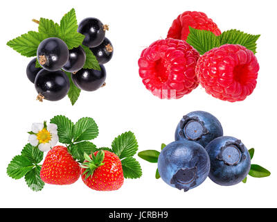 Berries collection. Raspberry, blueberry, currant, strawberry  isolated on white. Stock Photo
