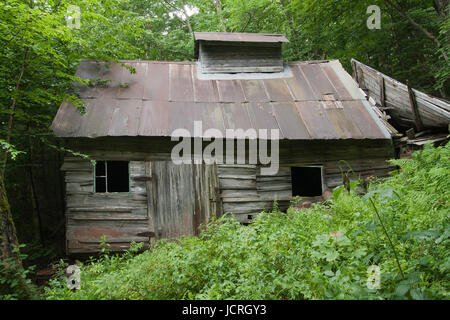 Old sugar house in the woods. Abandoned sugar shack in the forest. Stock Photo