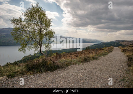 Single tree in front of Loch Ness and dark sky Stock Photo