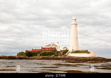 St Mary's Island Lighthouse. reached by a causway between tides, off Whitley Bay North East England. Stock Photo