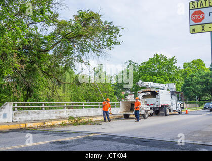 Frederick, USA - May 24, 2017: Workers cutting down tree branch on road using brush chipper Stock Photo