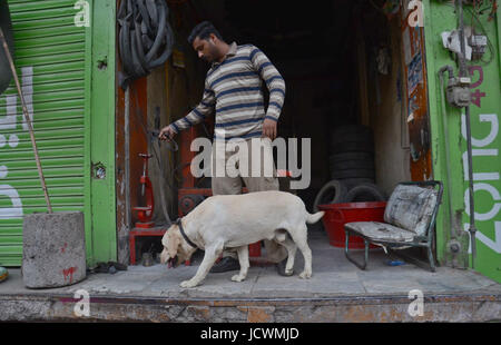 Lahore, Pakistan. 17th June, 2017. Pakistani security personnel busy in searching and clear the market near Imambargah karbala Gamay shah before procession, Youm-e-Ali. Youm-e-Ali (RA)the martyrdom day of Hazrat Ali (RA) processions is being observed today (Saturday) with religious harmony amid tight security across the country. Credit: Rana Sajid Hussain/Pacific Press/Alamy Live News Stock Photo