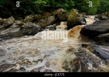 Afon Conwy in spate after prolonged rainfall.- the river Conway near conway Falls, Betws y Coed in North Wales. Stock Photo