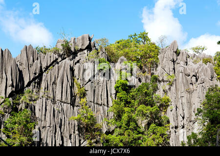 blur in philippines view from a boat of  palm cliff beach and rock from pacific ocean Stock Photo