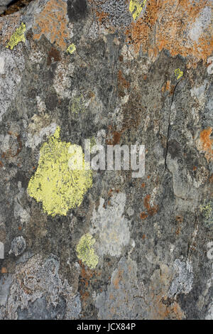 Rock and lichen patterns and textures for background images Stock Photo