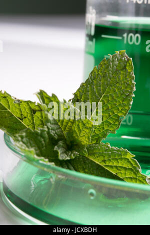 Plant pathology Stock Photo