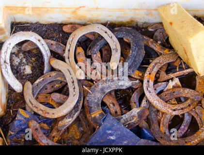 Rusty old horse shoes in a dirty box Stock Photo