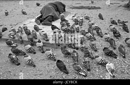 PARIS-HOMELESS MAN LYING ON THE PAVEMENT SURROUNDED BY PIGEONS TRYING TO GET SOME HEAT FROM A SUBWAY GRATE DURING WINTER FREEZE© Frédéric BEAUMONT Stock Photo