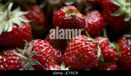 Erdbeeren Stock Photo