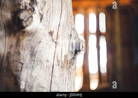The trunk of the Great old tree without bark Stock Photo