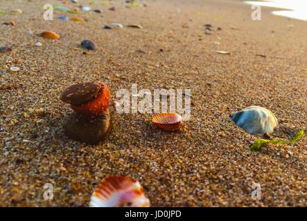 Multicolor stones and shells on a sand Stock Photo