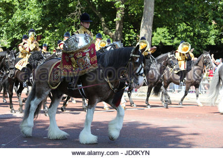 Military drum horse at the Trooping the Colour parade at Horse Guards ...