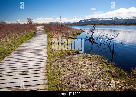 Trail to Western Brook Pond, Gros Morne National Park, Newfoundland, Canada Stock Photo