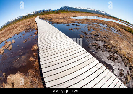 Fisheye perspective of trail to Western Brook Pond, Gros Morne National Park, Newfoundland, Canada Stock Photo