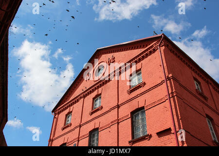The building of the old watermill of red brick. View from below on a blue sky with a huge flock of birds. Stock Photo